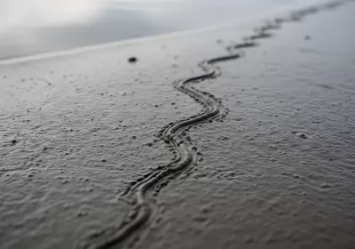 Imagen PNG para descargar